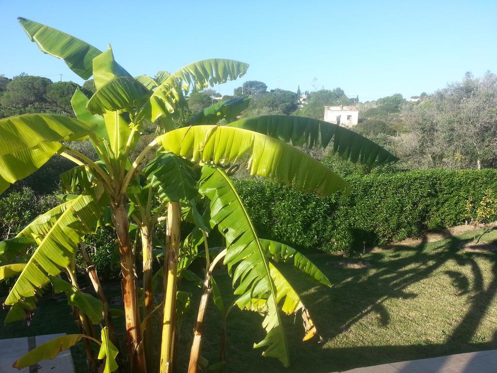 Casa Cereja 'Adults Only' Bed and Breakfast Albufeira Exterior foto