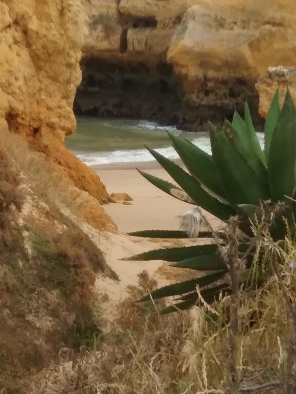 Casa Cereja 'Adults Only' Bed and Breakfast Albufeira Exterior foto