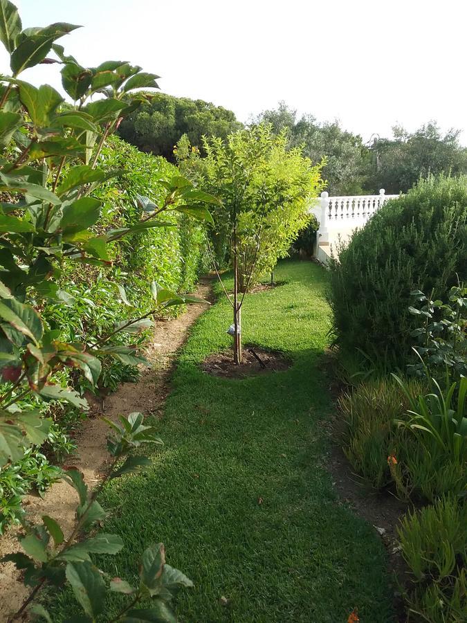 Casa Cereja 'Adults Only' Bed and Breakfast Albufeira Exterior foto