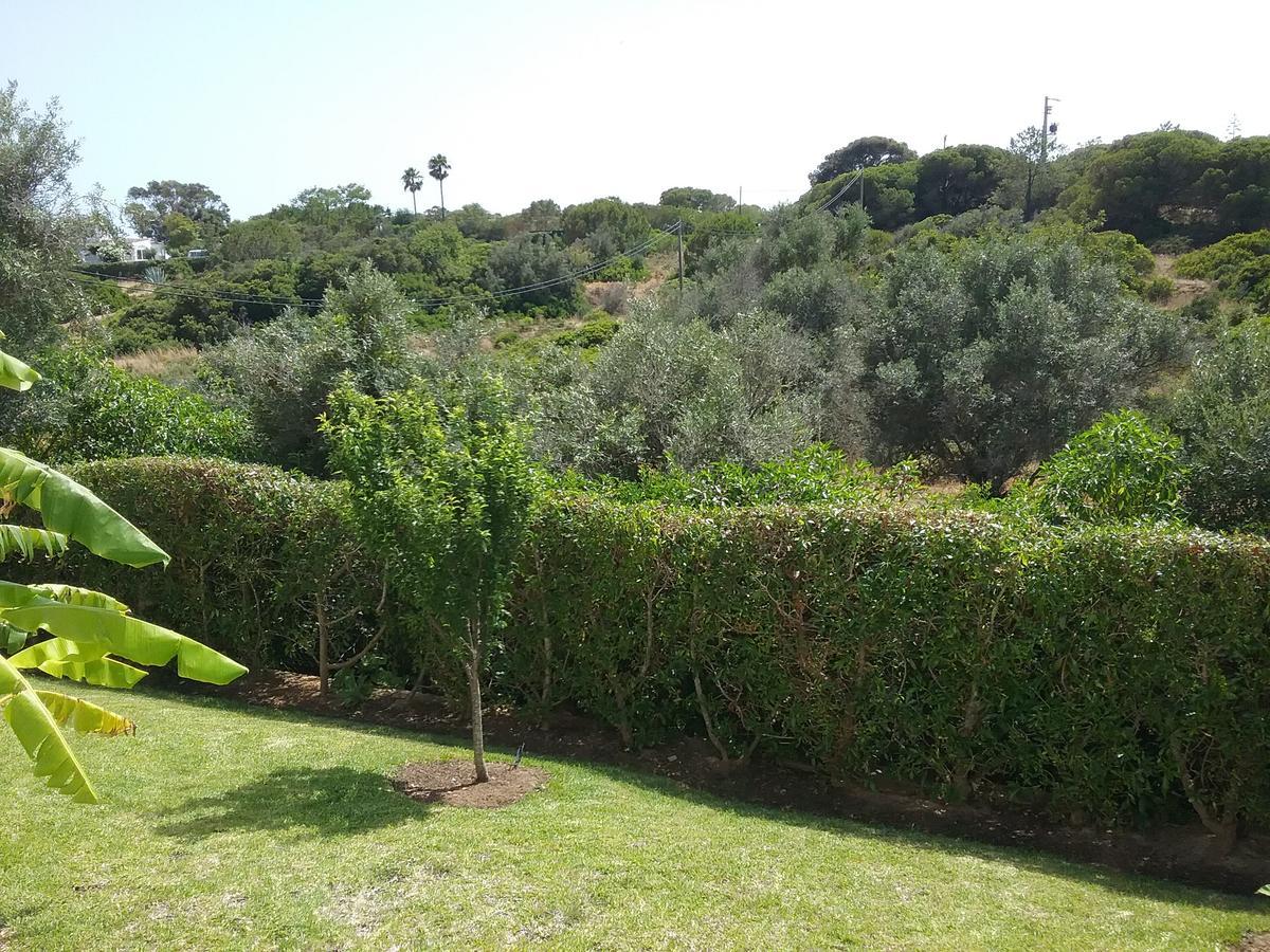 Casa Cereja 'Adults Only' Bed and Breakfast Albufeira Exterior foto