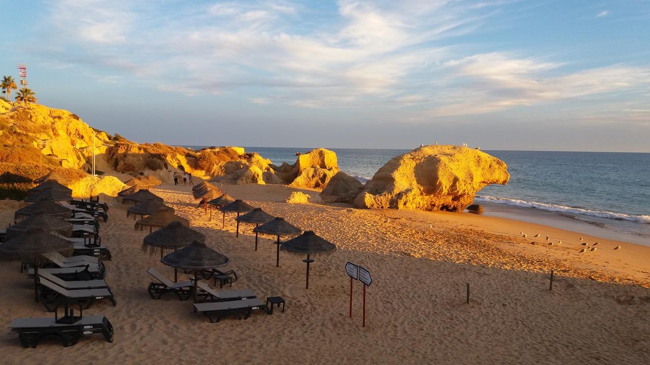 Casa Cereja 'Adults Only' Bed and Breakfast Albufeira Exterior foto